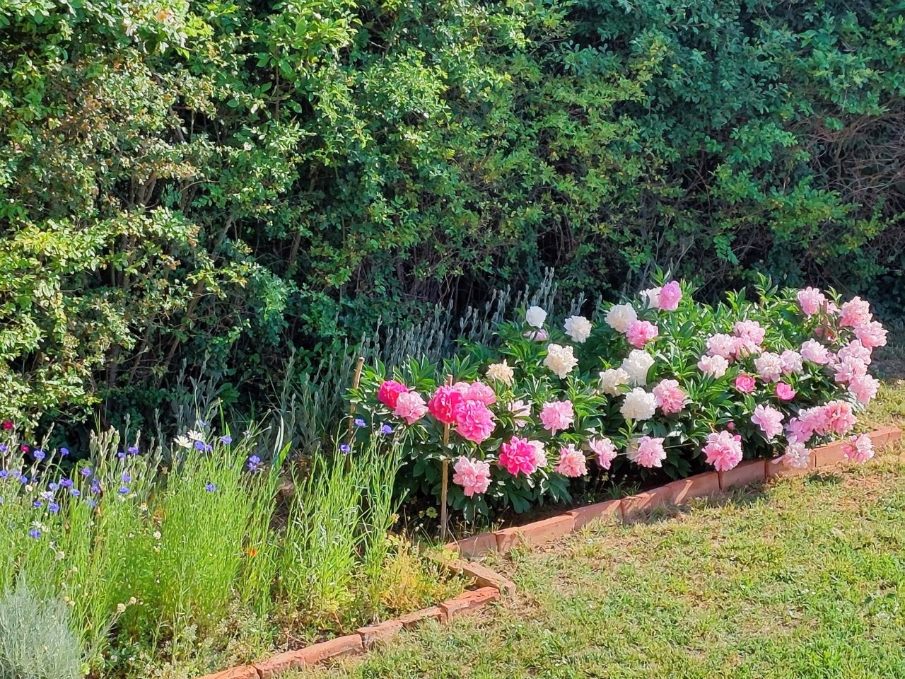 Immobiliari nel monferrato - Piedmont Houses