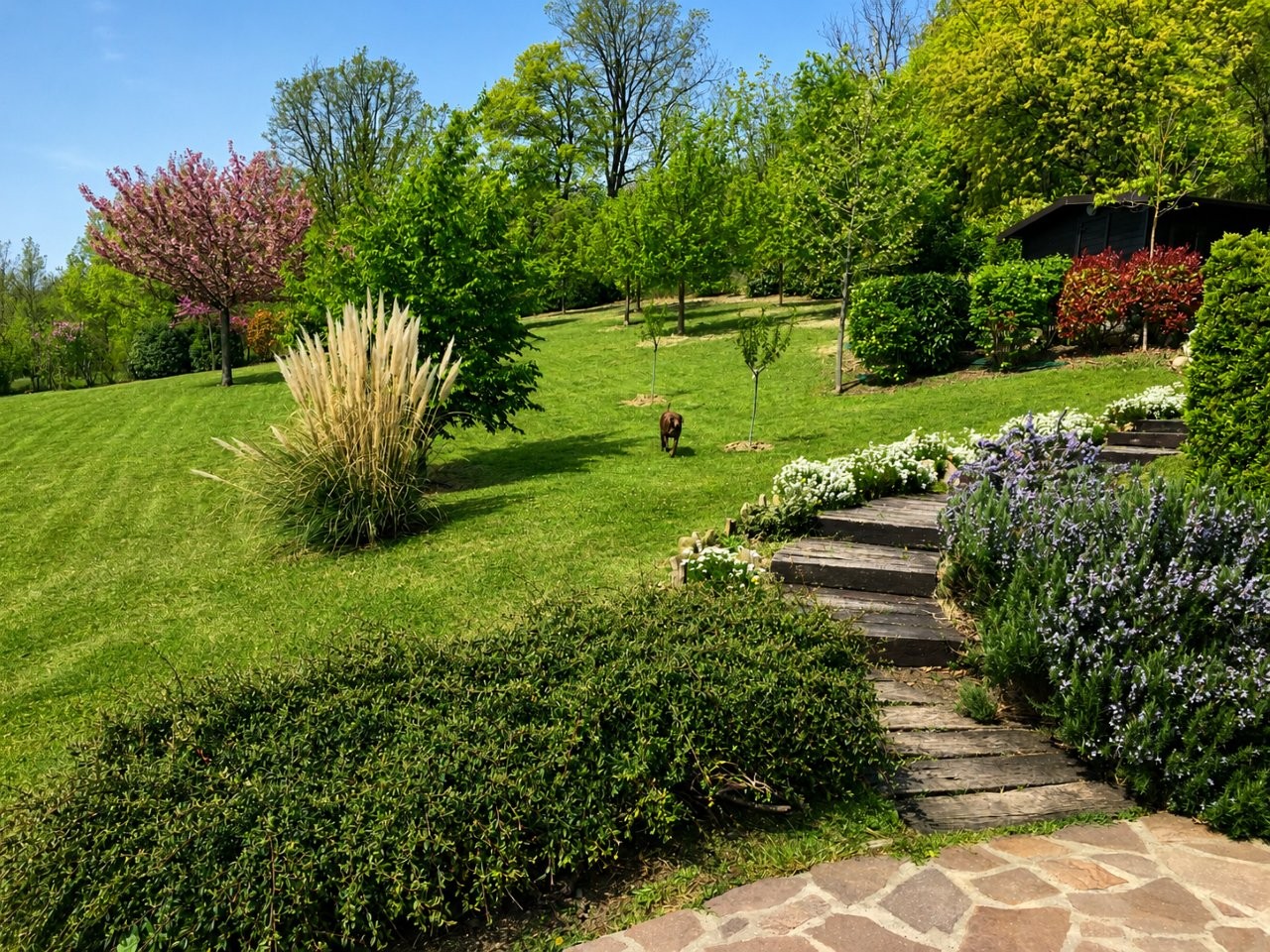 Immobiliari nel monferrato - Piedmont Houses