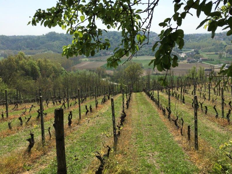 Immobiliari nel monferrato - Piedmont Houses