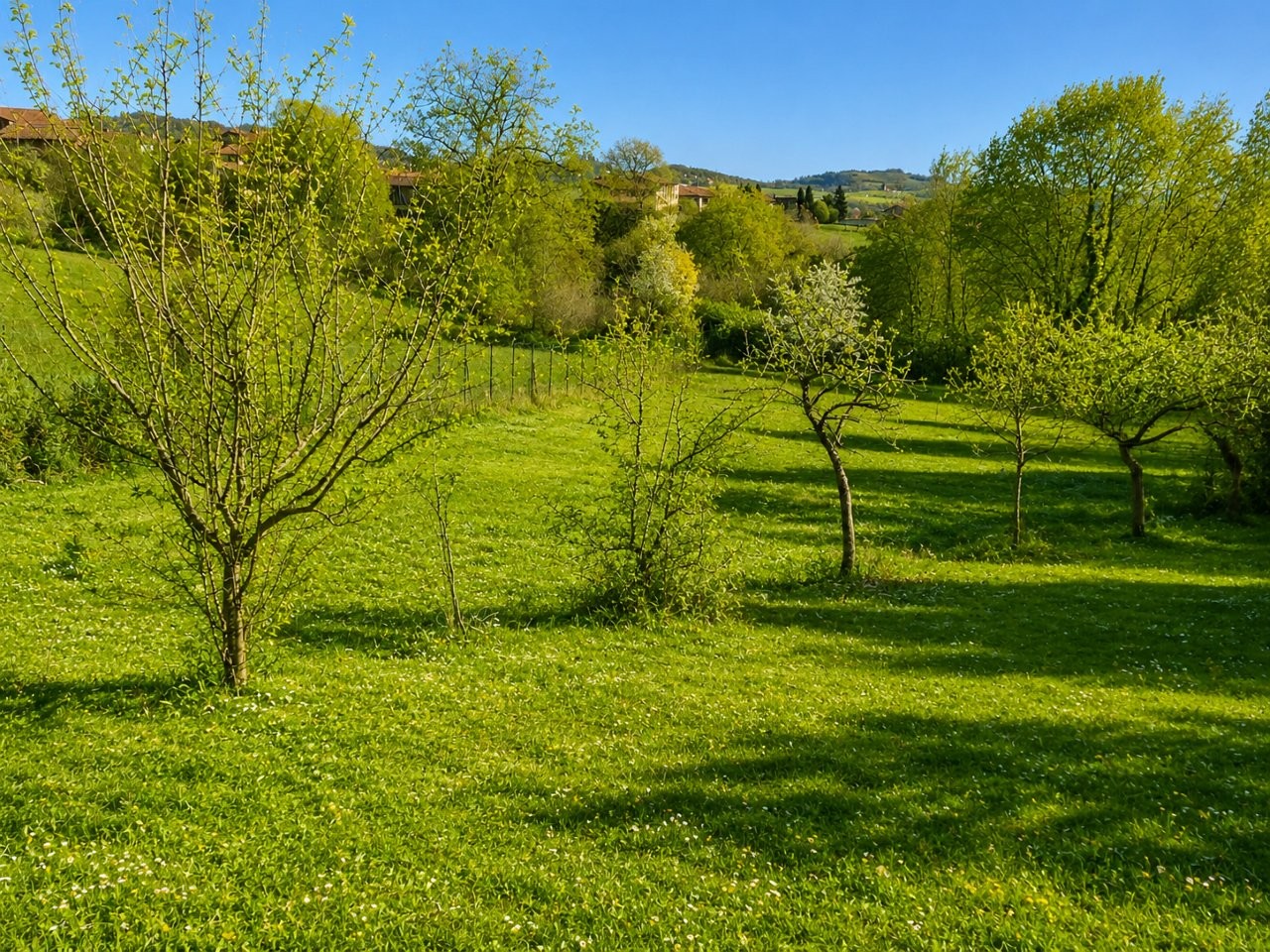 Immobiliari nel monferrato - Piedmont Houses
