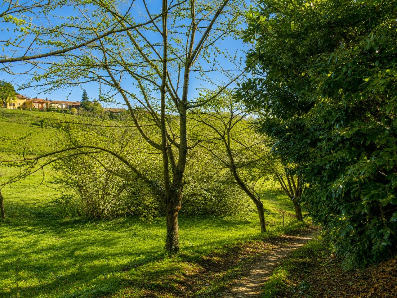 Immobiliari nel monferrato - Piedmont Houses