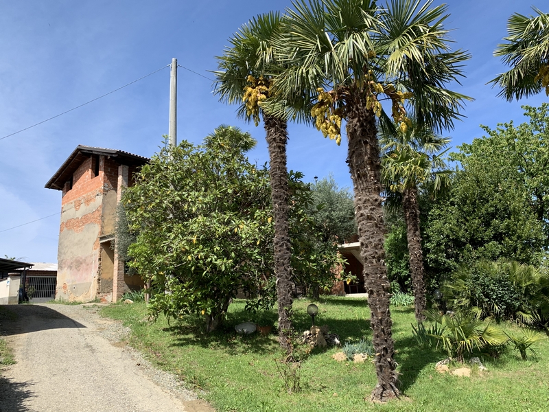 Immobiliari nel monferrato - Piedmont Houses