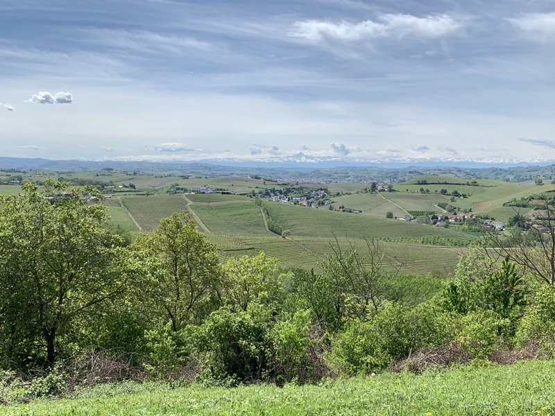 Immobiliari nel monferrato - Piedmont Houses