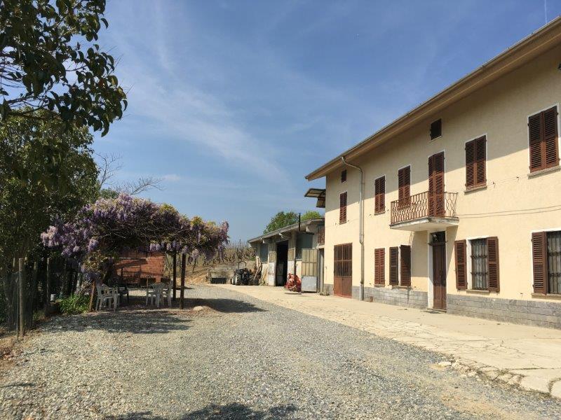 Immobiliari nel monferrato - Piedmont Houses