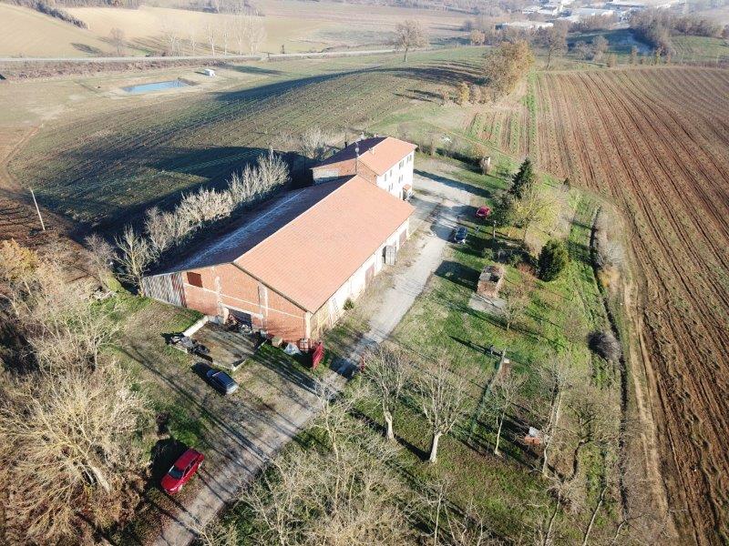 Immobile: H250