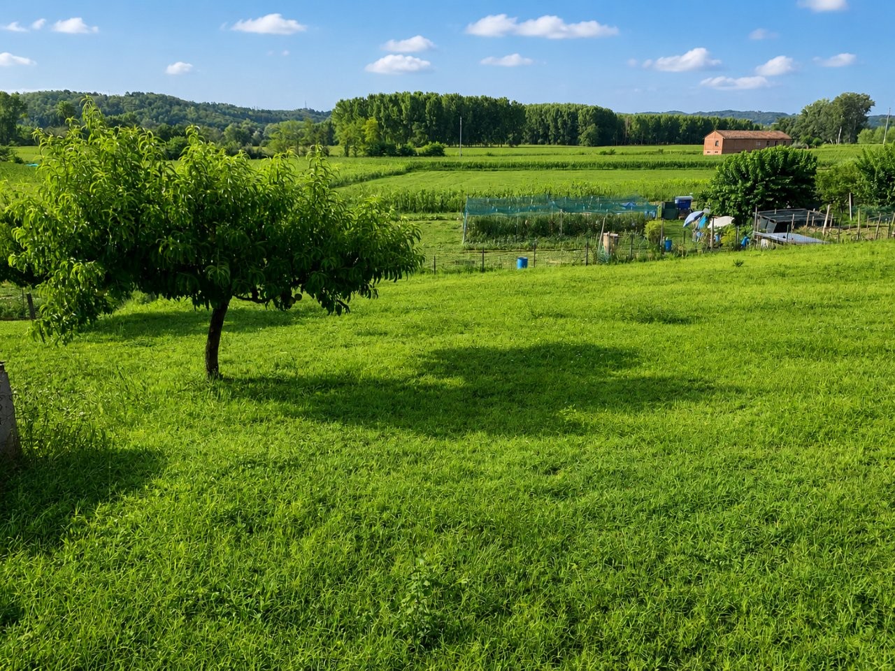 Immobiliari nel monferrato - Piedmont Houses