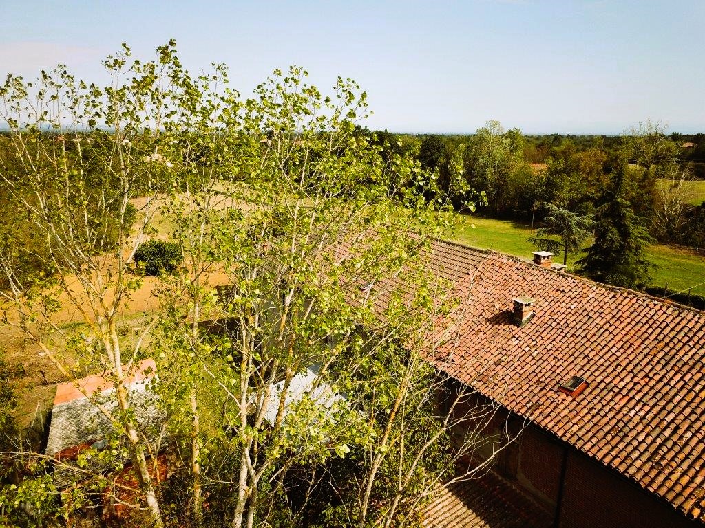 Immobiliari nel monferrato - Piedmont Houses