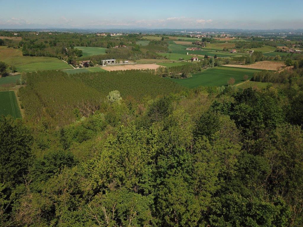 Immobiliari nel monferrato - Piedmont Houses